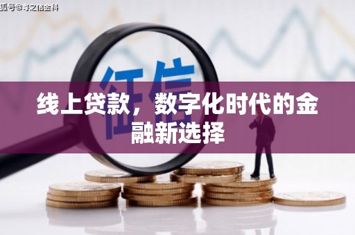 耒阳线上贷款，数字化时代的金融新选择