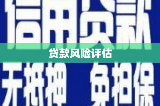 耒阳贷款风险评估