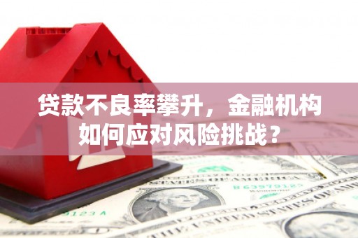 耒阳贷款不良率攀升，金融机构如何应对风险挑战？