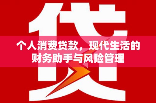 耒阳个人消费贷款，现代生活的财务助手与风险管理
