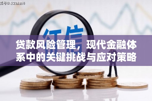 耒阳贷款风险管理，现代金融体系中的关键挑战与应对策略