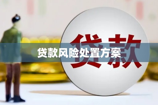 耒阳贷款风险处置方案