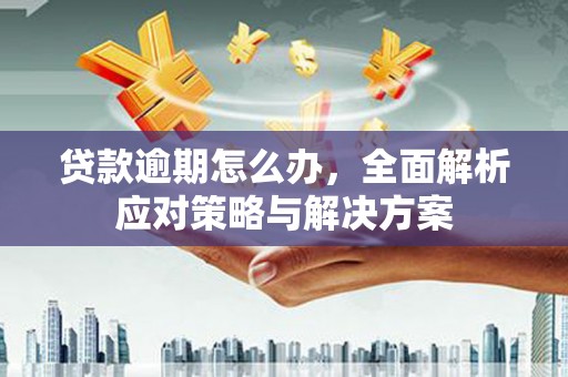 耒阳贷款逾期怎么办，全面解析应对策略与解决方案