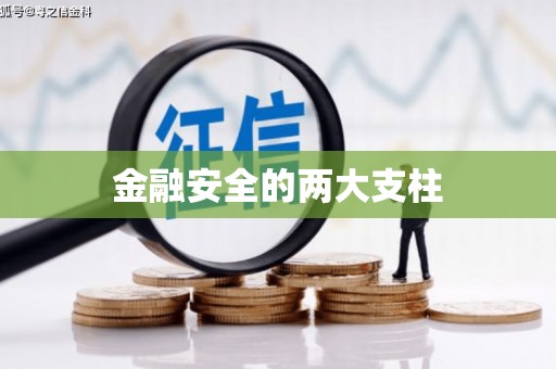 耒阳金融安全的两大支柱