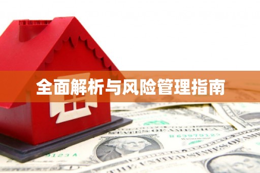 耒阳全面解析与风险管理指南
