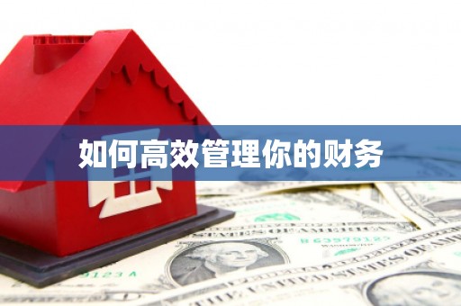 耒阳如何高效管理你的财务