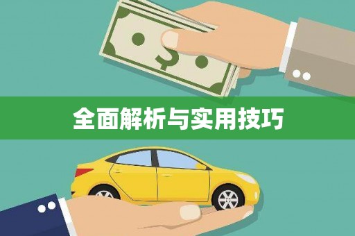 耒阳全面解析与实用技巧