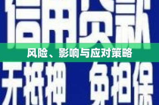 耒阳风险、影响与应对策略