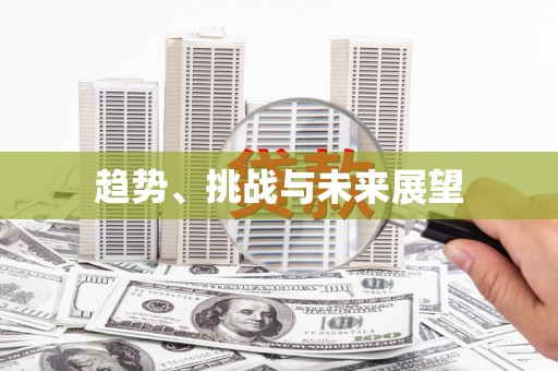 耒阳趋势、挑战与未来展望