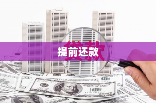 耒阳提前还款