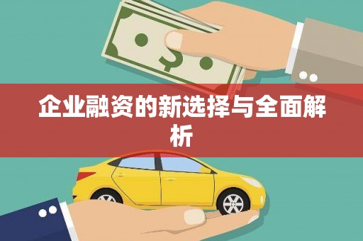 耒阳企业融资的新选择与全面解析