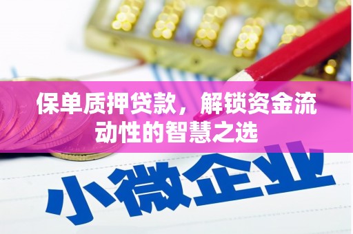 耒阳保单质押贷款，解锁资金流动性的智慧之选