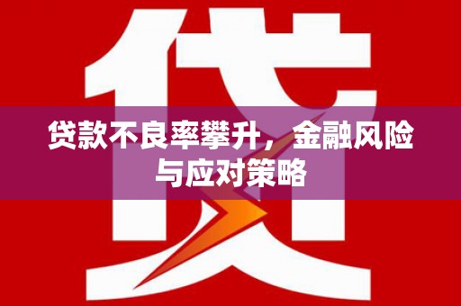 耒阳贷款不良率攀升，金融风险与应对策略